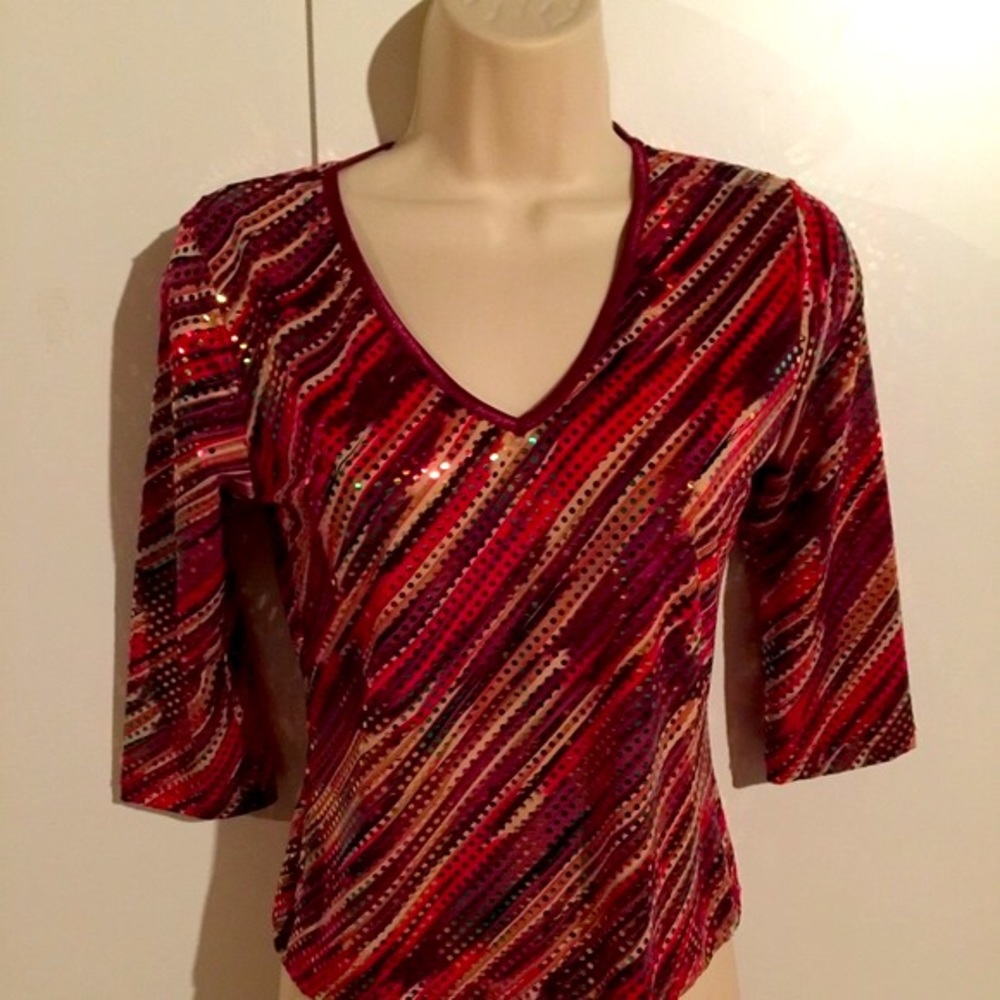 🎉 SALE! Multi-colored sparkle Red brown top